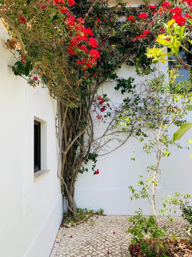 Dona Maria 66 Villa Luz Eksteriør billede
